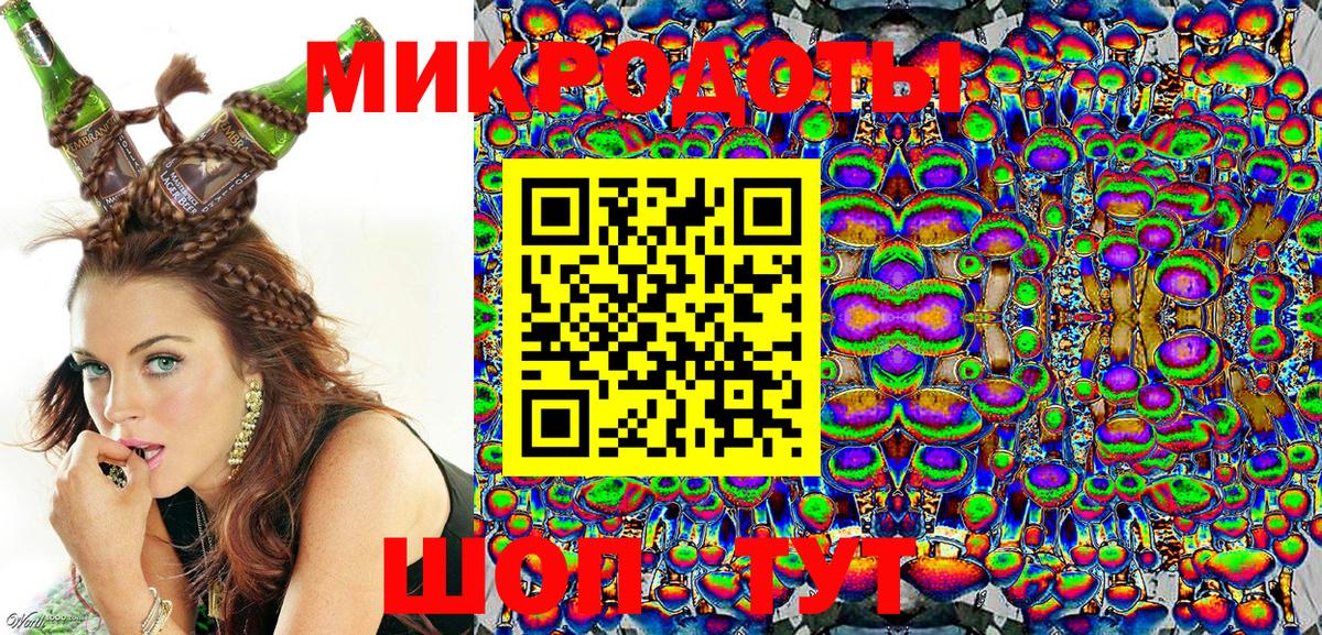 Псилоцибиновые грибы Psilocybe Красногорск